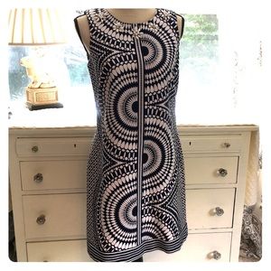 New! Taylor blue and white dress. Size 8